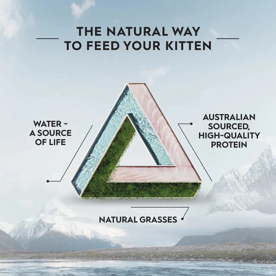 TRILOGY KITTEN Dry Food - BARRAMUNDI WITH TUNA 1.2Kg