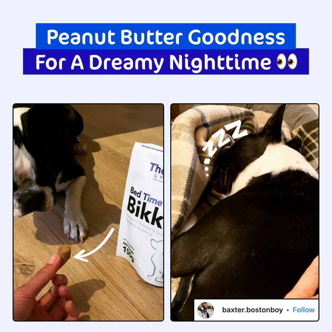 The Paw Grocer - Dog Treats Peanut Butter Bed Time Bikkies 150g