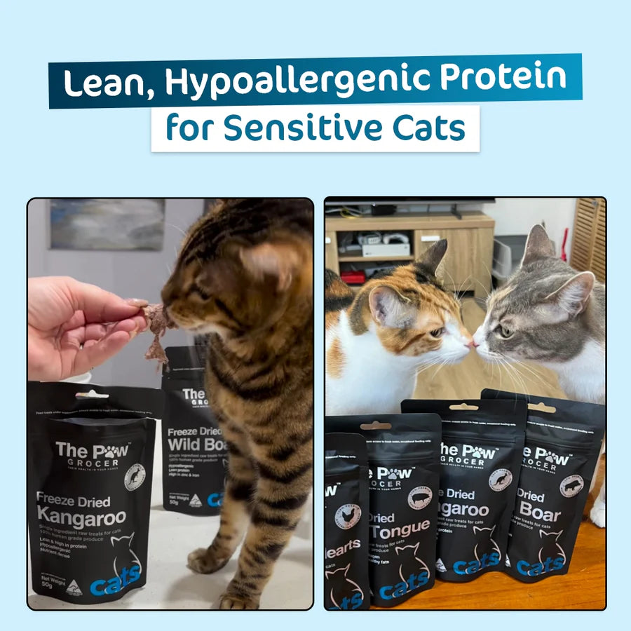The Paw Grocer - Freeze Dried Kangaroo For Cats 50g