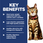 Hill's Science Diet Adult Cat Dry Food Light Chicken Recipe 3.5kg