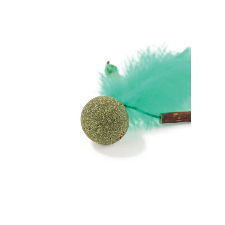 M-Pets CHARMY Catnip Cat Toy - BUGBEAR Green