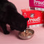 Proudi Cat Raw Food - Red Combo 1.08Kg