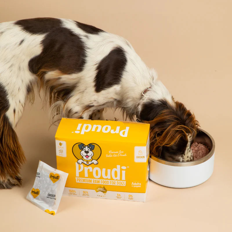 Dog eating from a bowl with a box of Proudi pet food on a beige background
