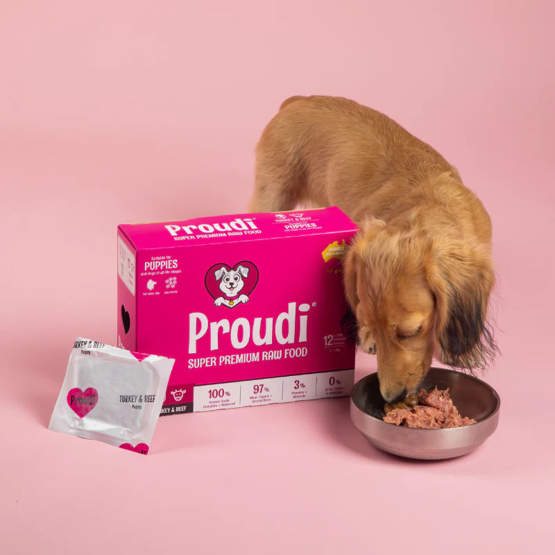 Dog eating from a bowl next to a box of Proudi dog food on a pink background
