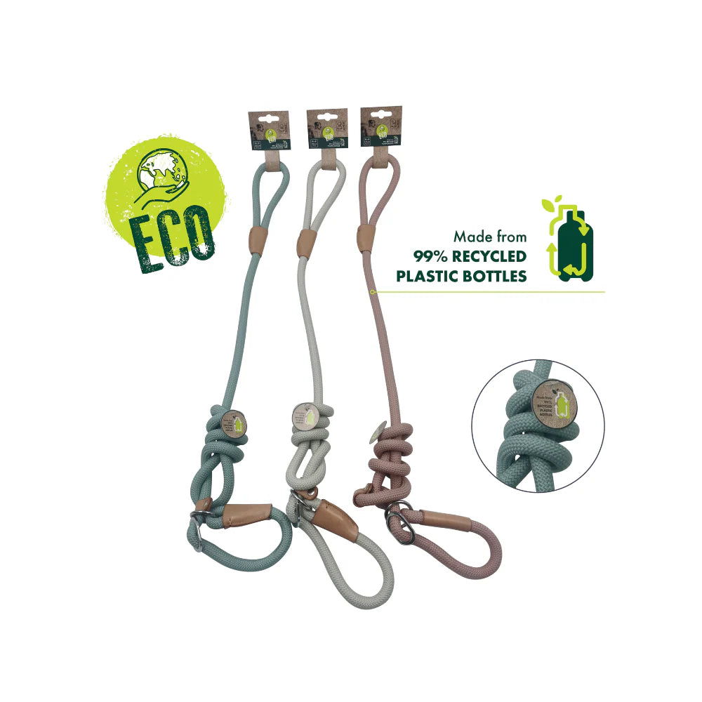 M-Pets ECO Dog Leash & Collar 2 in 1 Medium Size