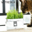 VETRESKA Soilless Cat Grass – Setaria