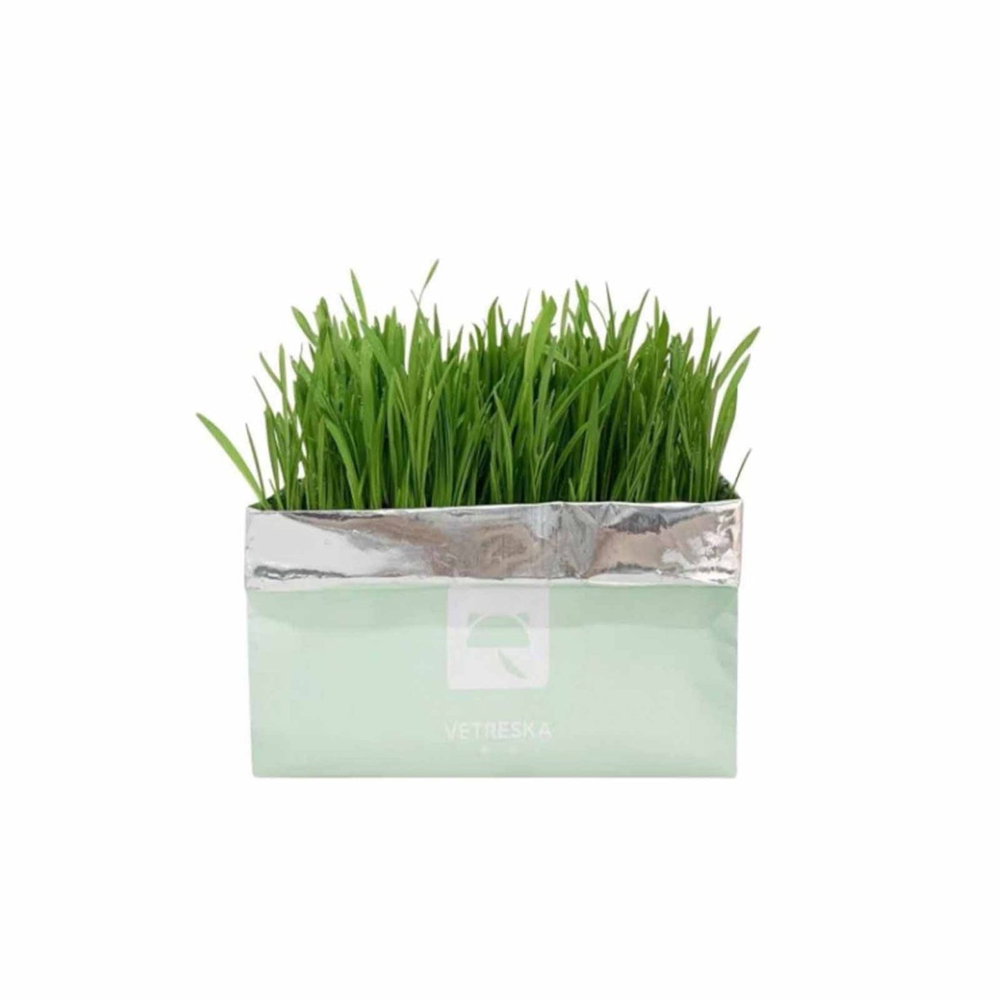 VETRESKA Soilless Cat Grass – Setaria