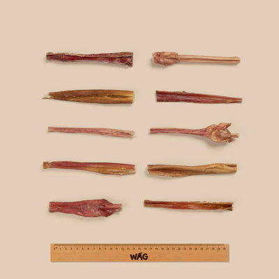 WAG Dog Treats Bully Bites 200g