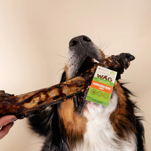 WAG Dog Treats Kangaroo Large Bone
