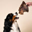 WAG Dog Treats Kangaroo Rib Rack
