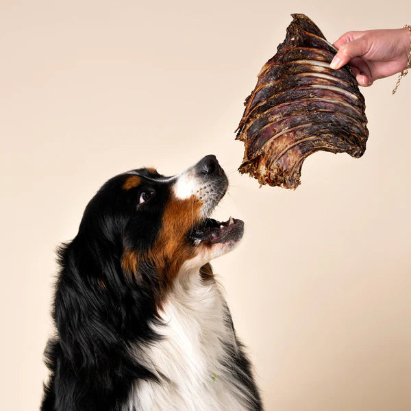 WAG Dog Treats Kangaroo Rib Rack