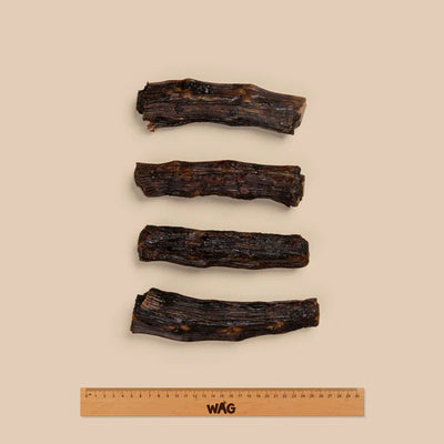 WAG Dog Treats Kangaroo Tail Bone