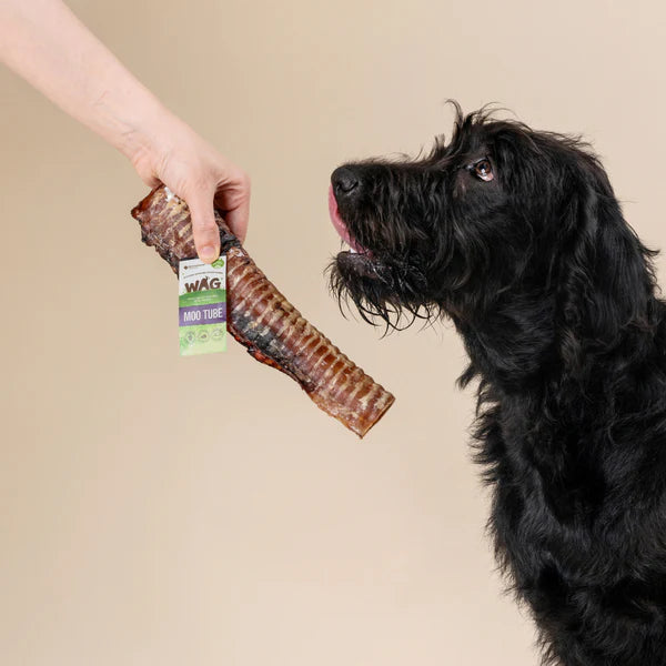 WAG Dog Treats Moo Tube