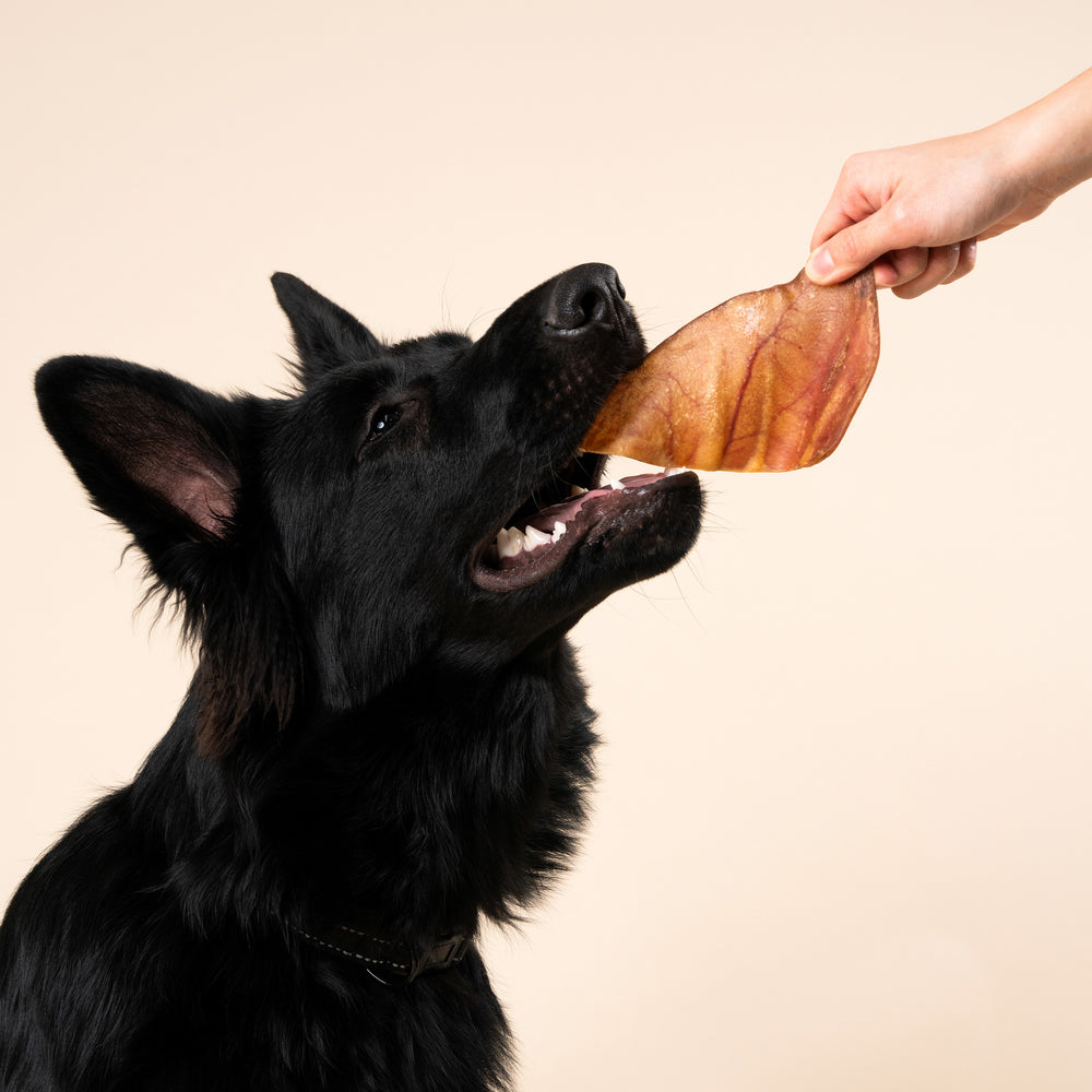 WAG Dog Treats Pig Ears Large 5Pack