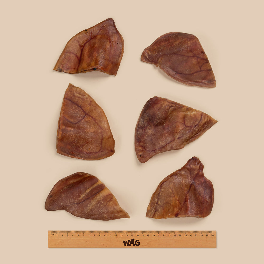 WAG Dog Treats Pig Ears Large 5Pack