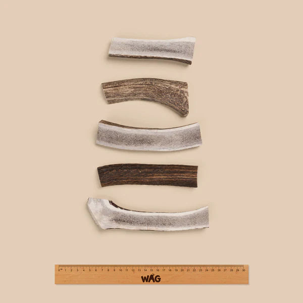 WAG Dog Treats Split Deer Antler Small 1pc