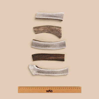 WAG Dog Treats Split Deer Antler Small 1pc