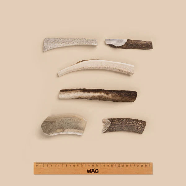WAG Dog Treats Split Deer Antler Small 1pc
