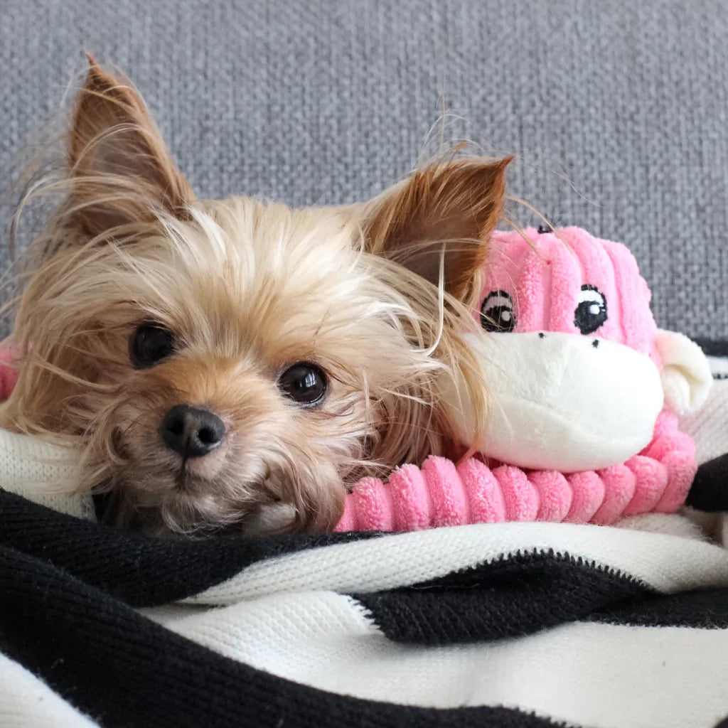 Zippypaws Plush Toys For Dog Spencer the Crinkle Monkey – Small Pink