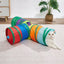 Rainbow Tunnel Cat Toy