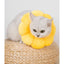 Flower Pet Recovery Collar