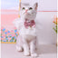 Cute Colorful Cat Bib