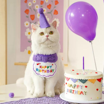 Birthday Set For Pets (Bib+Hat)