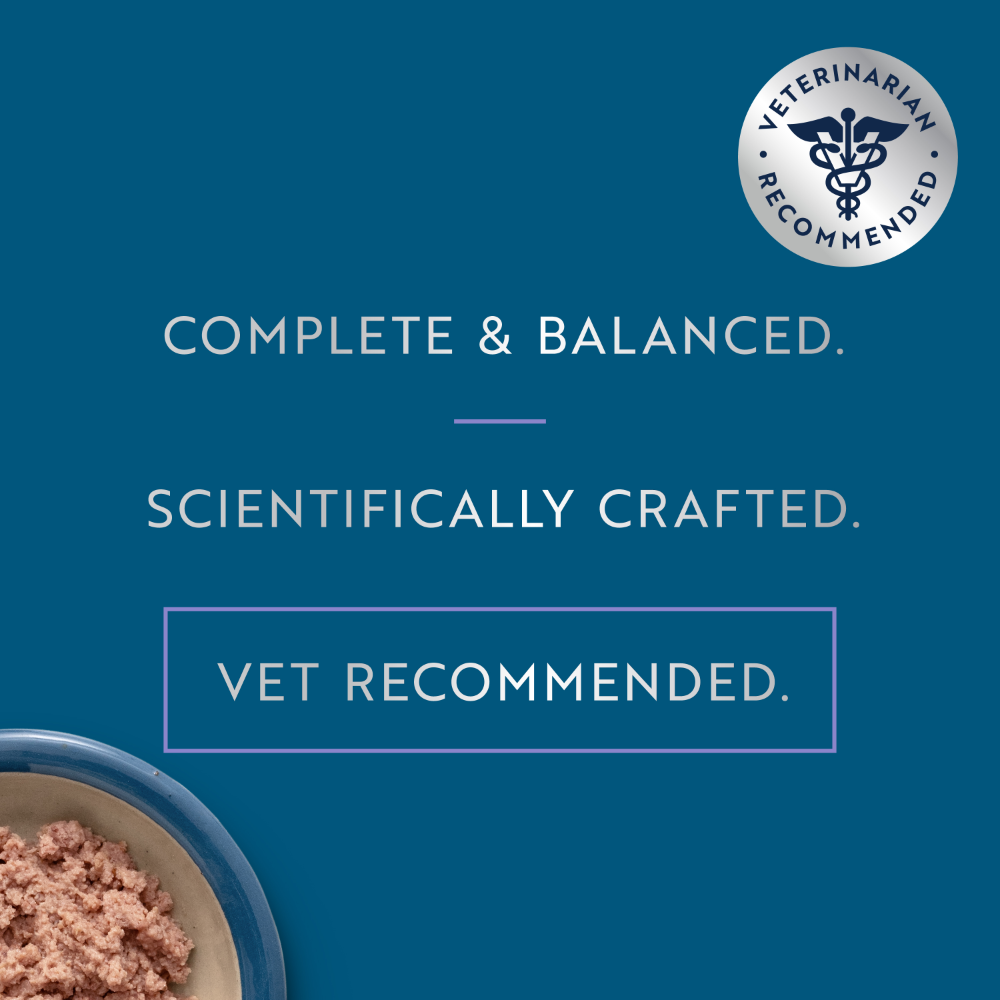 Ziwi Peak Kitten Wet Food Beef with Mackerel Recipe