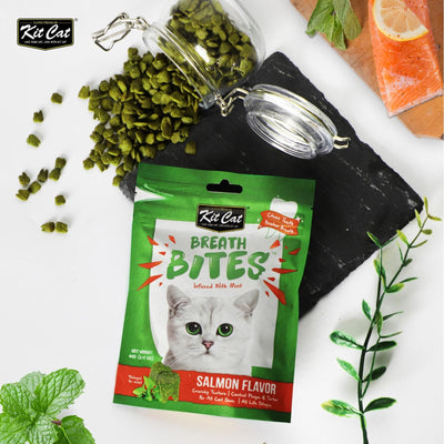 Kit Cat Breath Bites Cat Treat Salmon 60g