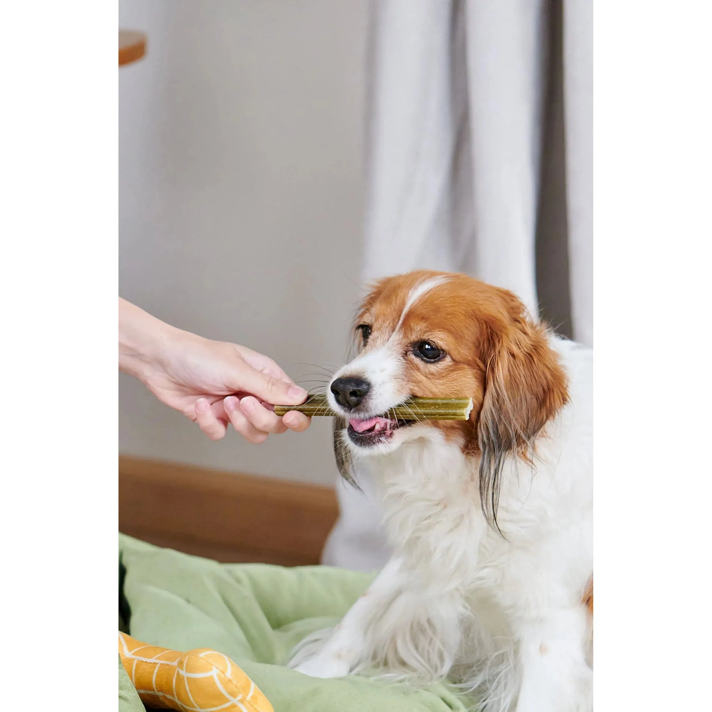 Whimzees Dental Dog Treats Soft
