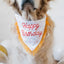 Zippypaws Dog Toy Birthday Bandana and Bone 2Pack