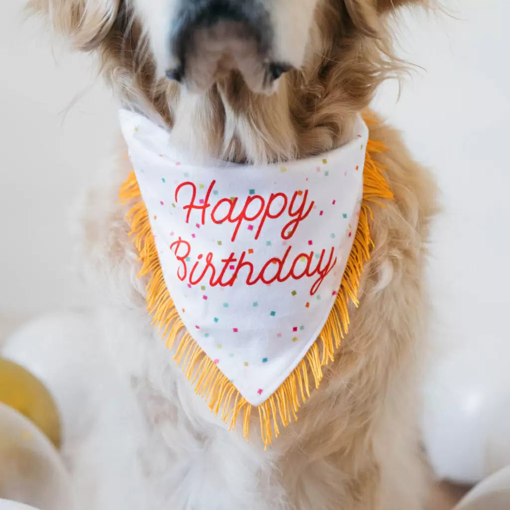 Zippypaws Dog Toy Birthday Bandana and Bone 2Pack