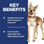 Hill's Science Diet Dog Dry Food Adult Salmon & Brown Rice Recipe