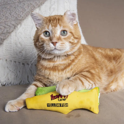 Yeowww! Catnip Cat Toy Yellow Fish