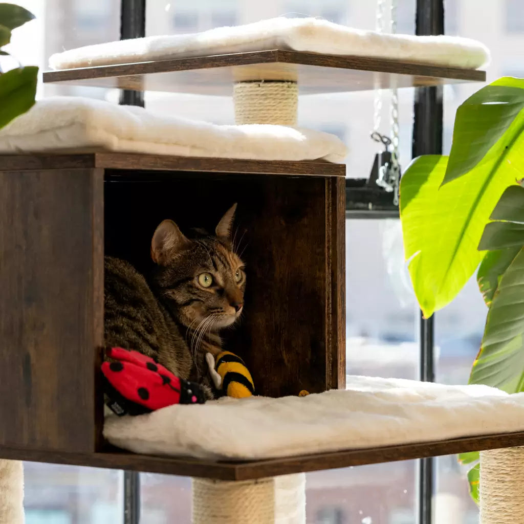ZippyClaws® Cat Toy 2 Pack – Ladybug and Bee
