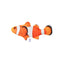 ZODIAC Clown Fish Catnip Cat Toy