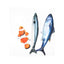 ZODIAC Mackerel Fish Catnip Cat Toy