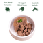 ZEALANDIA Beef Pate DOG Wet Food