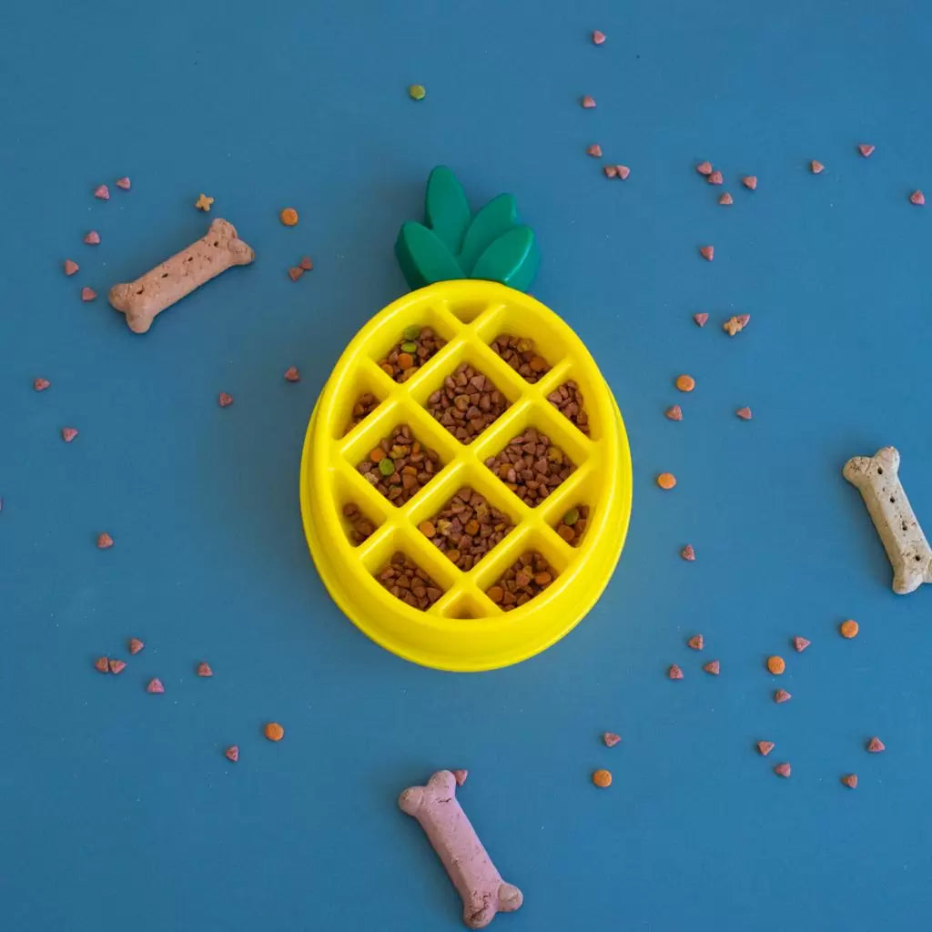 Zippypaws Slow Feeder Happy Bowl – Pineapple