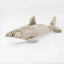 Zippypaws Plush Toys For Dog Jigglerz® – Shark