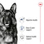 ROYAL CANIN Maxi Adult Dry Dog Food