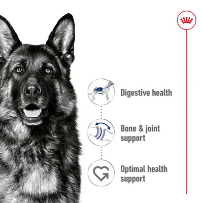 ROYAL CANIN Maxi Adult Dry Dog Food