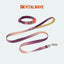 VITALWAVE Dreamfade Dog Collar & Leash Set