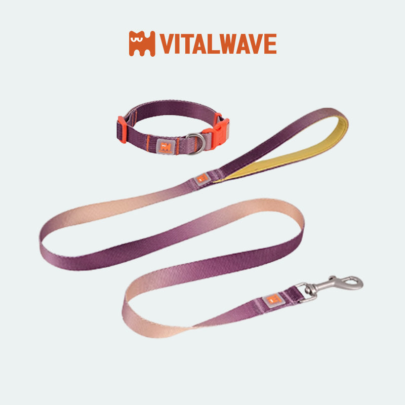 VITALWAVE Dreamfade Dog Collar & Leash Set