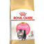 ROYAL CANIN Persian Kitten Dry Cat Food 2Kg