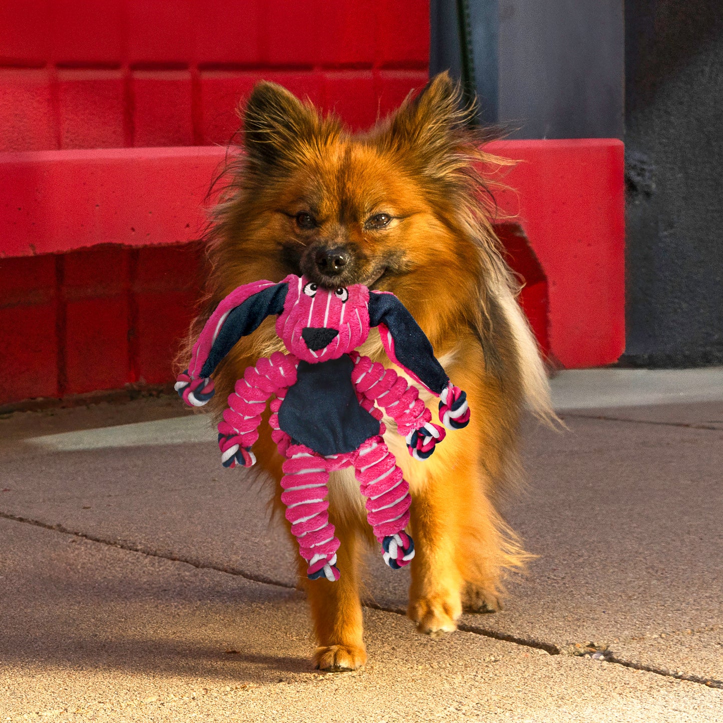 KONG Dog Toy Floppy Knots Bunny