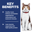 Hill's Science Diet Adult Cat Food 7+ Senior Dry Food