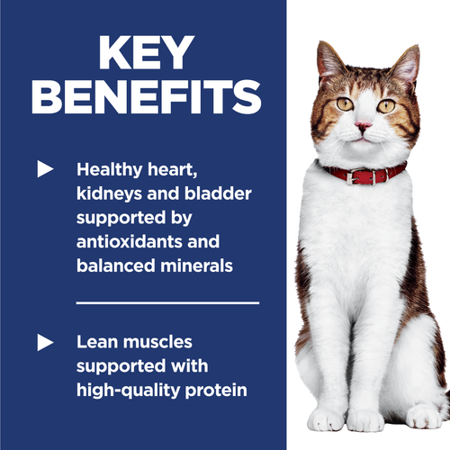 Hill's Science Diet Adult Cat Food 7+ Senior Dry Food
