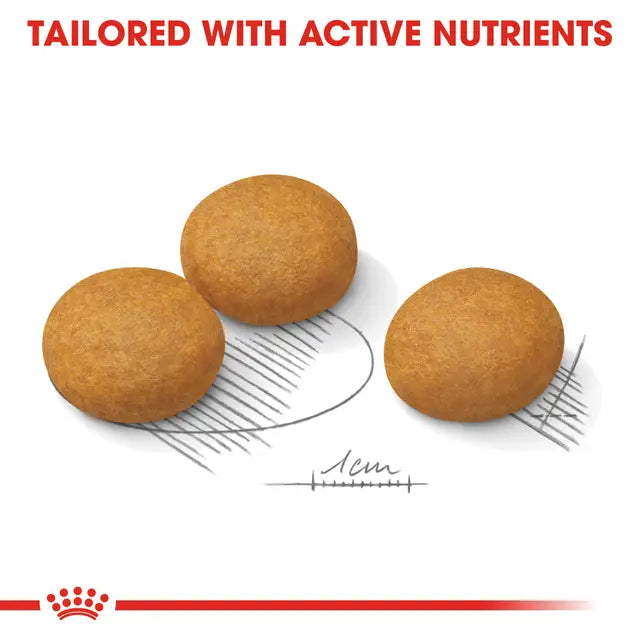ROYAL CANIN Adult Dry Dog Food Medium Dermacomfort