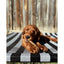 Nylabone Puppy Chew Toy Teething Bone